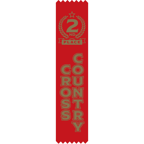 2nd Place Cross Country Satin Ribbon - Pack of 50 - With Pins Attached