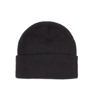 Acrylic Beanie with Thinsulate Lining