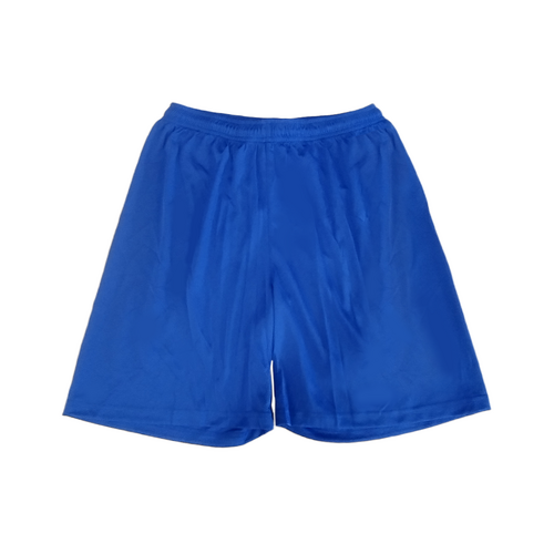 Airpass Boys Basketball Shorts - Royal